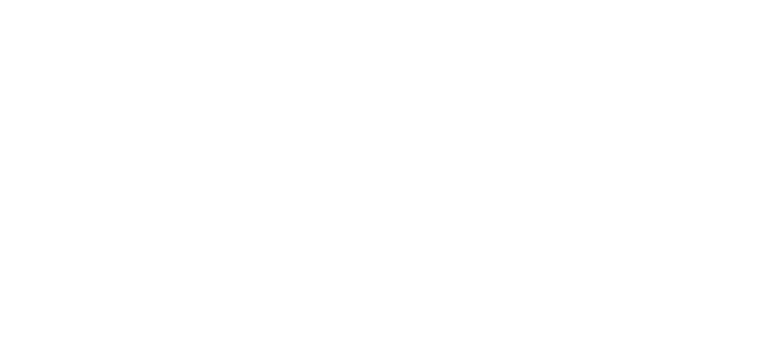 Spear Realty Group